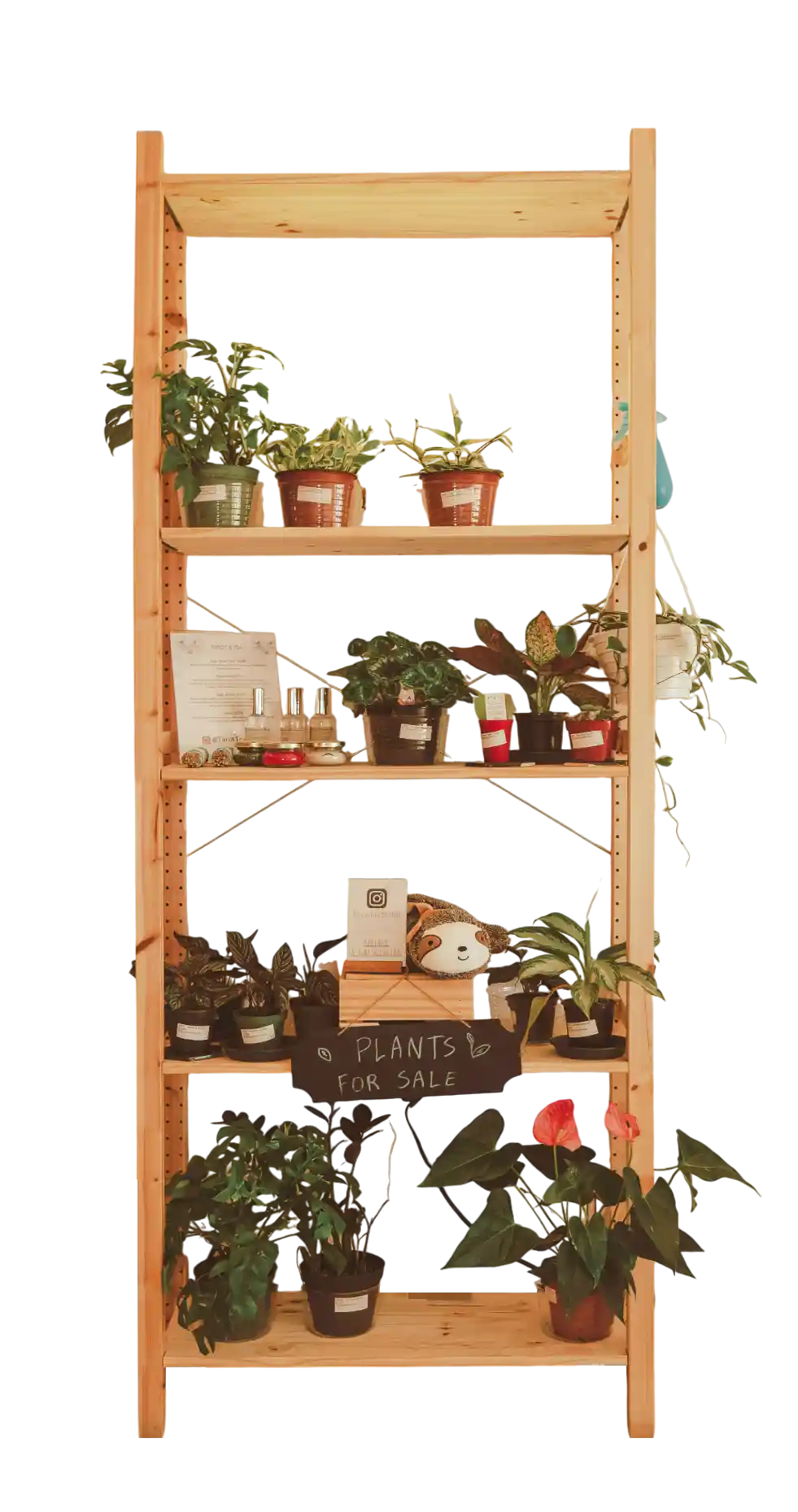 thumb for Indoor Plant Display PNG, Shelving With Potted Plants PNG, Indoor Plant Display PNG, Wooden Shelf PNG, Wooden Shelf With Plants PNG