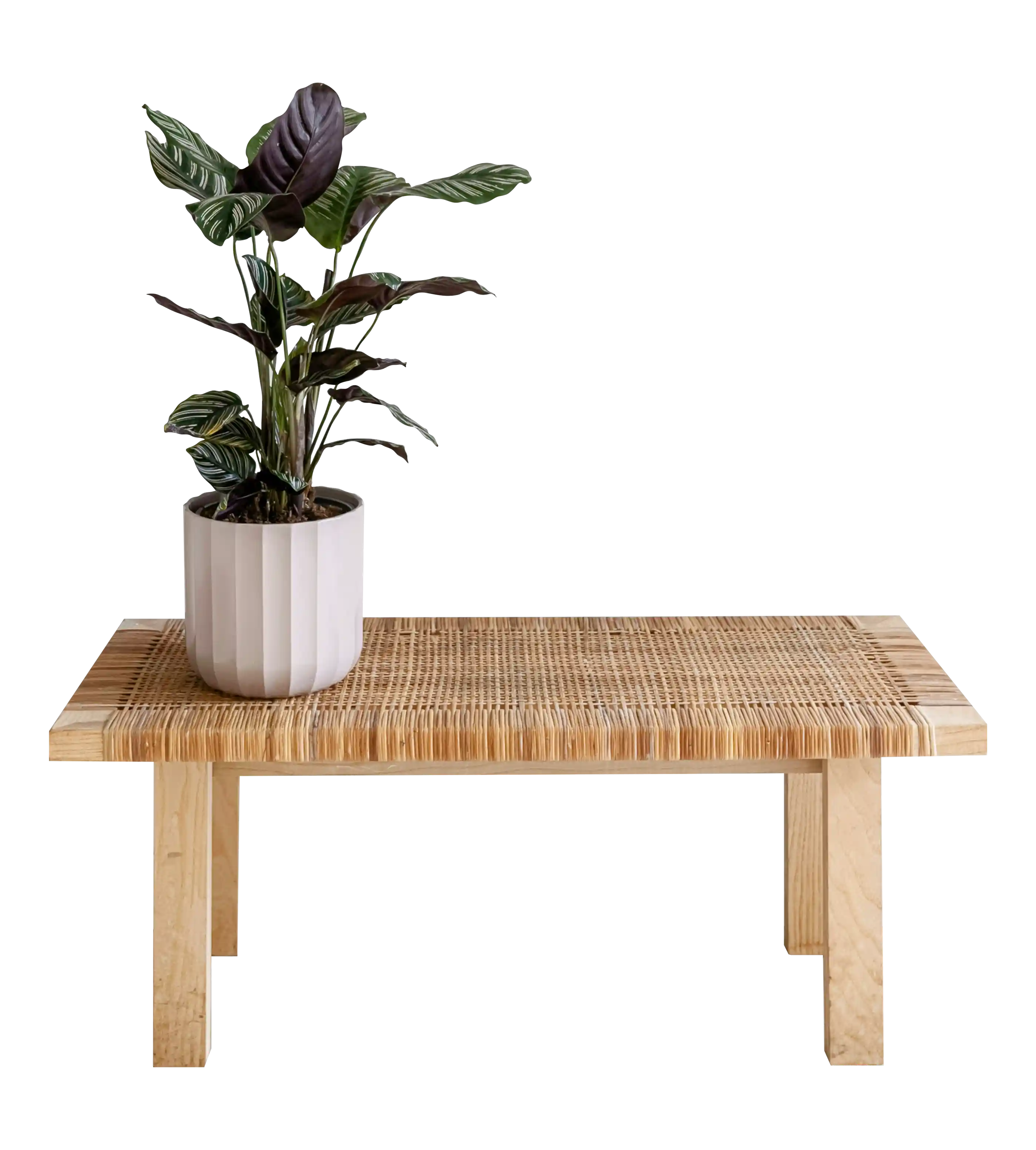 thumb for Wooden Woven Table With Plant PNG