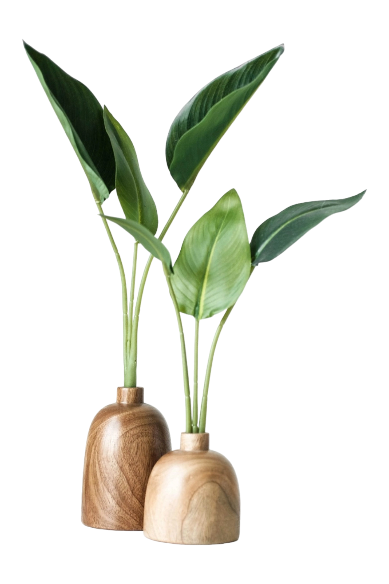 thumb for Wooden Vases With Plant PNG