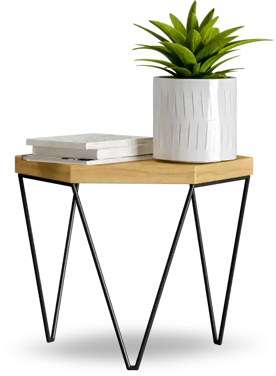 thumb for Side Table With Plant PNG