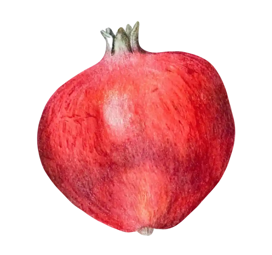 thumb for Red Fresh Pomegranate PNG