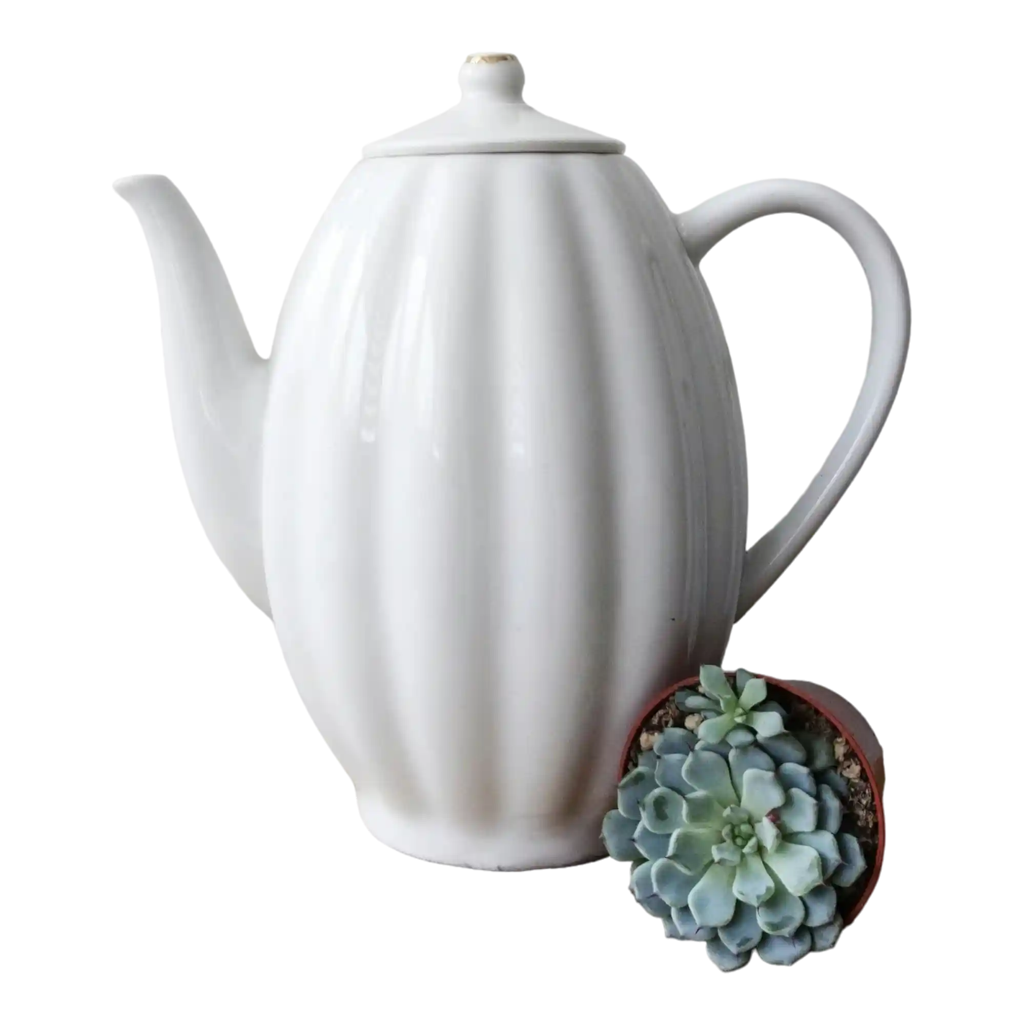 thumb for Ceramic Tea Pot PNG