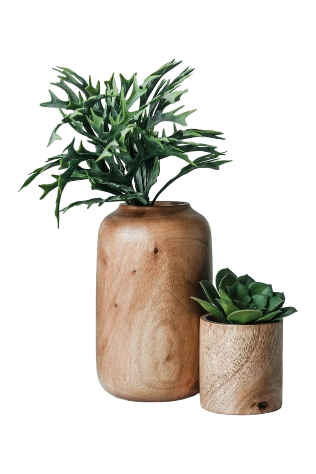 thumb for Wooden Vase With Plants PNG