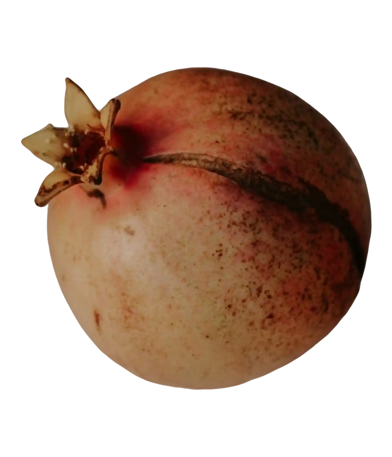 thumb for Whole Pomegranate Fruit PNG