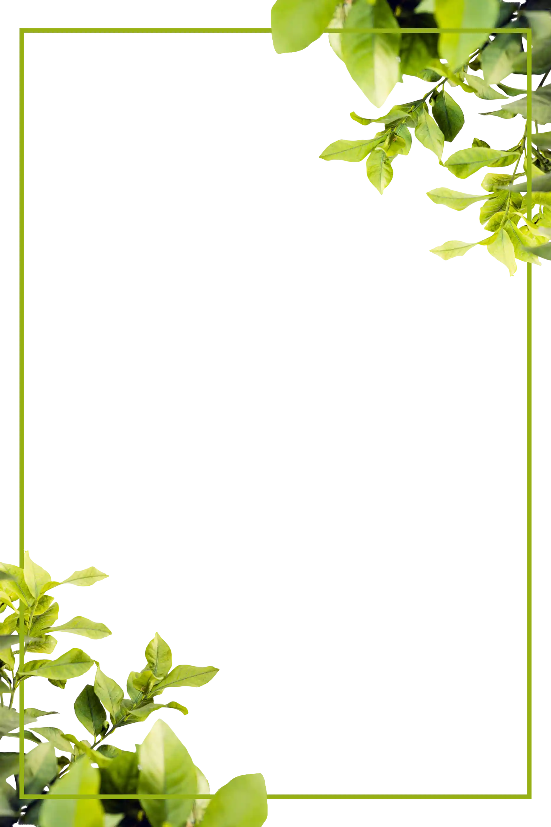 thumb for Green Leaf Border PNG, Nature Frame PNG, Floral Border PNG, Foliage Frame PNG