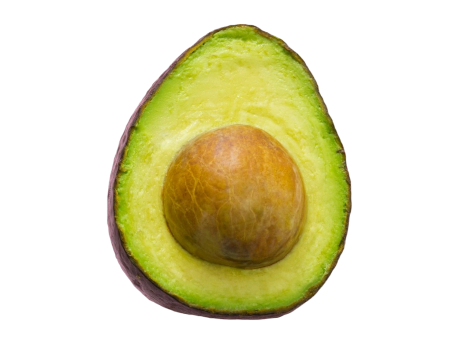 thumb for Avocado PNG